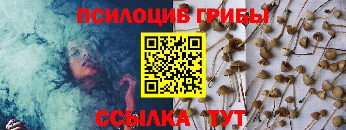 Галлюциногенные грибы GOLDEN TEACHER  Галлюциногенные грибы Psilocybe  Вход с VPN  где найти наркотики  Москва 